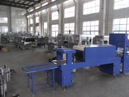 Electric Automatic Shrink Wrap Machine / Production Line CE ISO And SGS